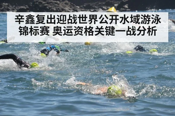 辛鑫复出迎战世界公开水域游泳锦标赛 奥运资格关键一战分析（kaiyun）